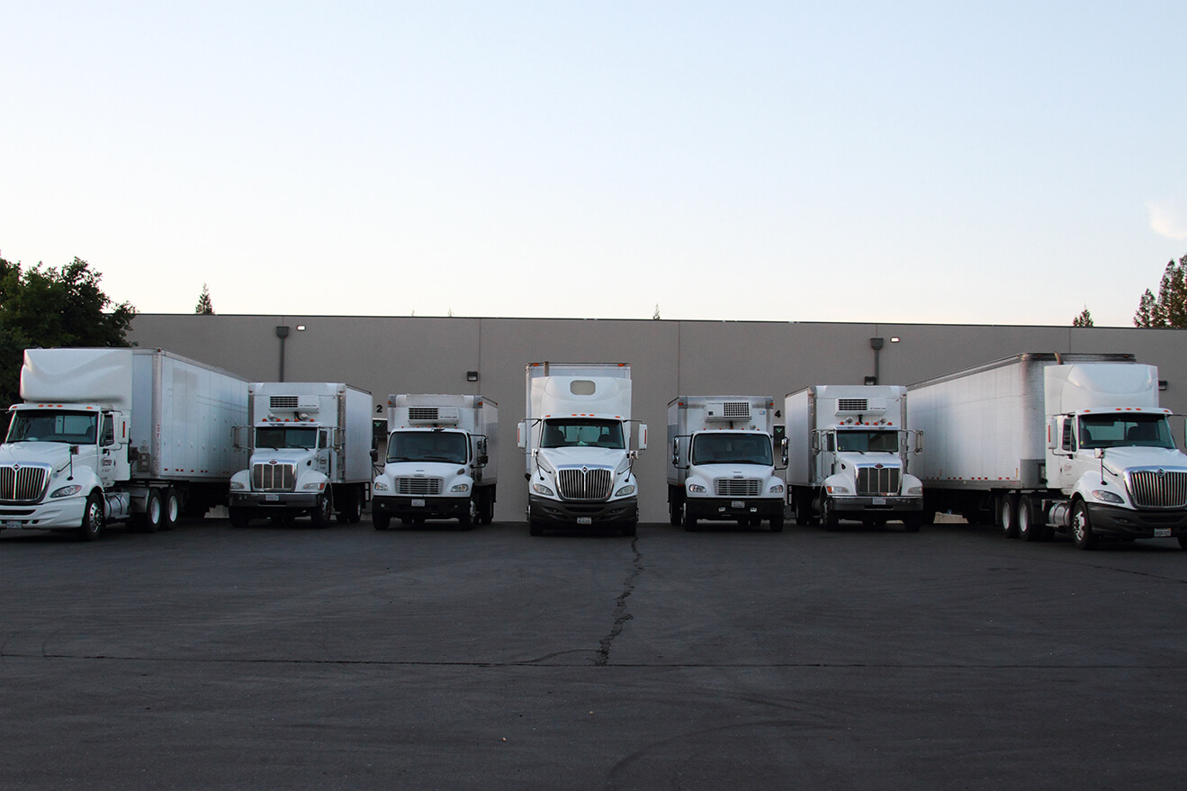 Lineup of trucks