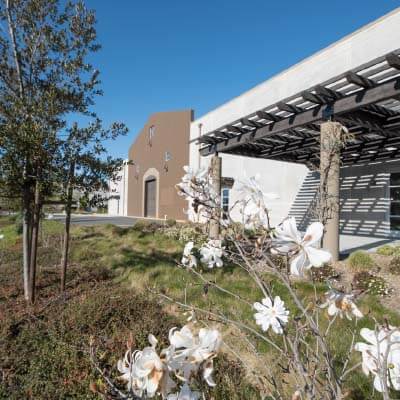 Warehouse with flowers in the foreground